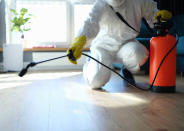 شركة رش مبيدات بالاحساء